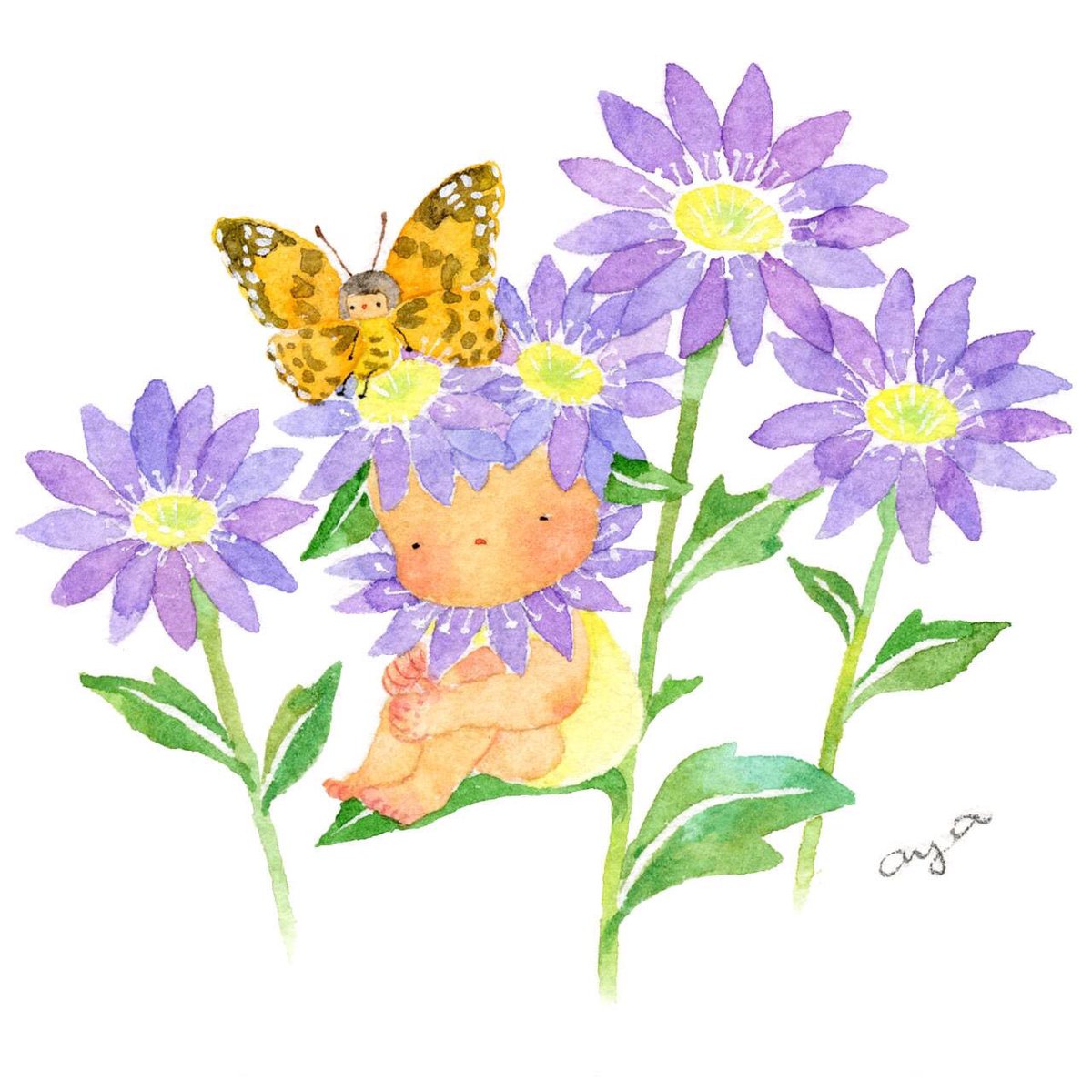 こばやしあや Auf Twitter 今日の誕生花 6月23日 都忘れ ミヤコワスレ 花言葉は 別れ しばしの憩い さいきん蝶のスポットをみつけました いろんな蝶をみつることができたけど オレンジ色の蝶はなかなか素早いです 花言葉 誕生花 今日の花
