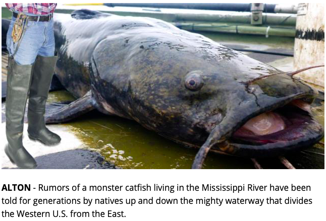 Dr. Phil Metzger on X: Here's a 736 pound catfish caught in the