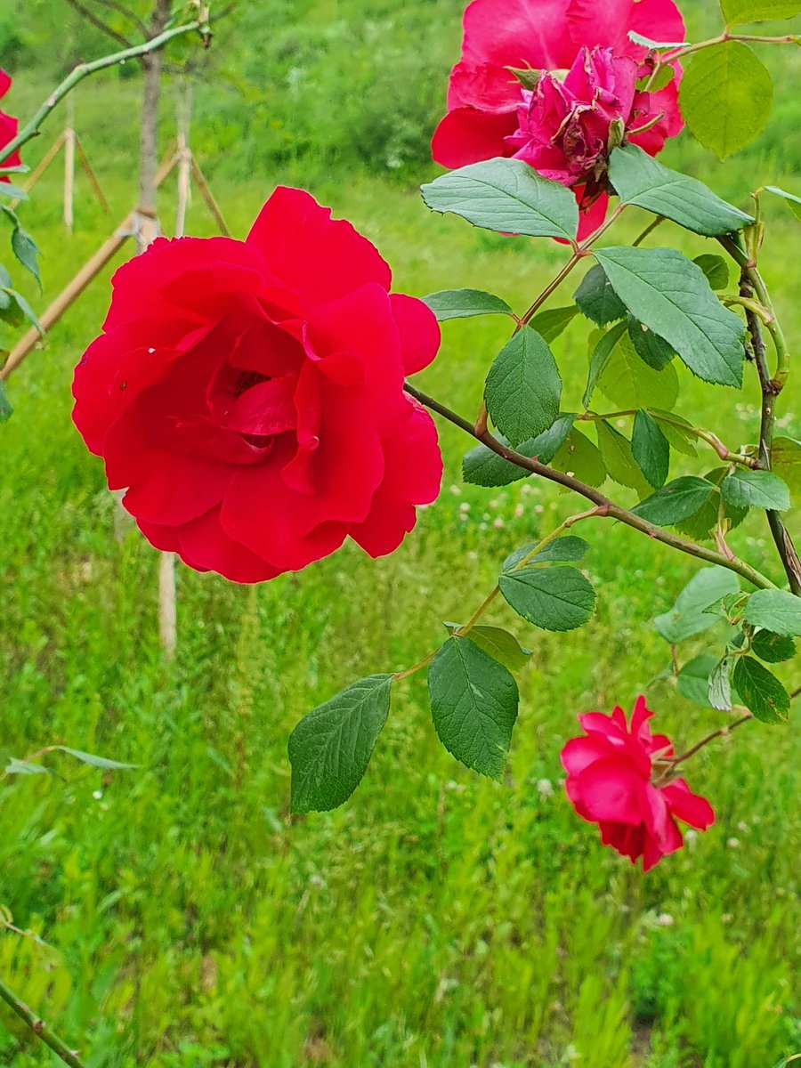 🌵 감정청소 🌵

나를 짓누르고 에너지를 낭비하는
감정을 다스려보자  

누군가에게 가진
좋지 않은 감정을 떨쳐버리는 게
우리가 맘편히 사는 길이다  

-해밀 조미하  
.
.
#행복연구소 #좋은글 #명언 #감성 #감동 #공감 #사랑 #행복 #힐링글

🍒 잘되는 집안 안되는 집안
bit.ly/36jgQ4F