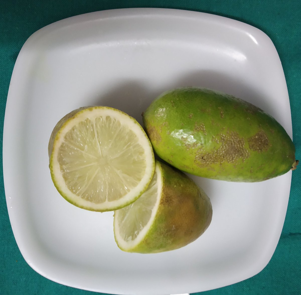 Coming from Chandigarh, I asked one of my guys to get me 250 gms of lemon, hoping he will get 8 to 10 lemons that will last me few days. When he brought 300gms lemon I realised, I need to reconfigure myself #mynortheastclix  #assam #NorthEast  #everydayNEIndia