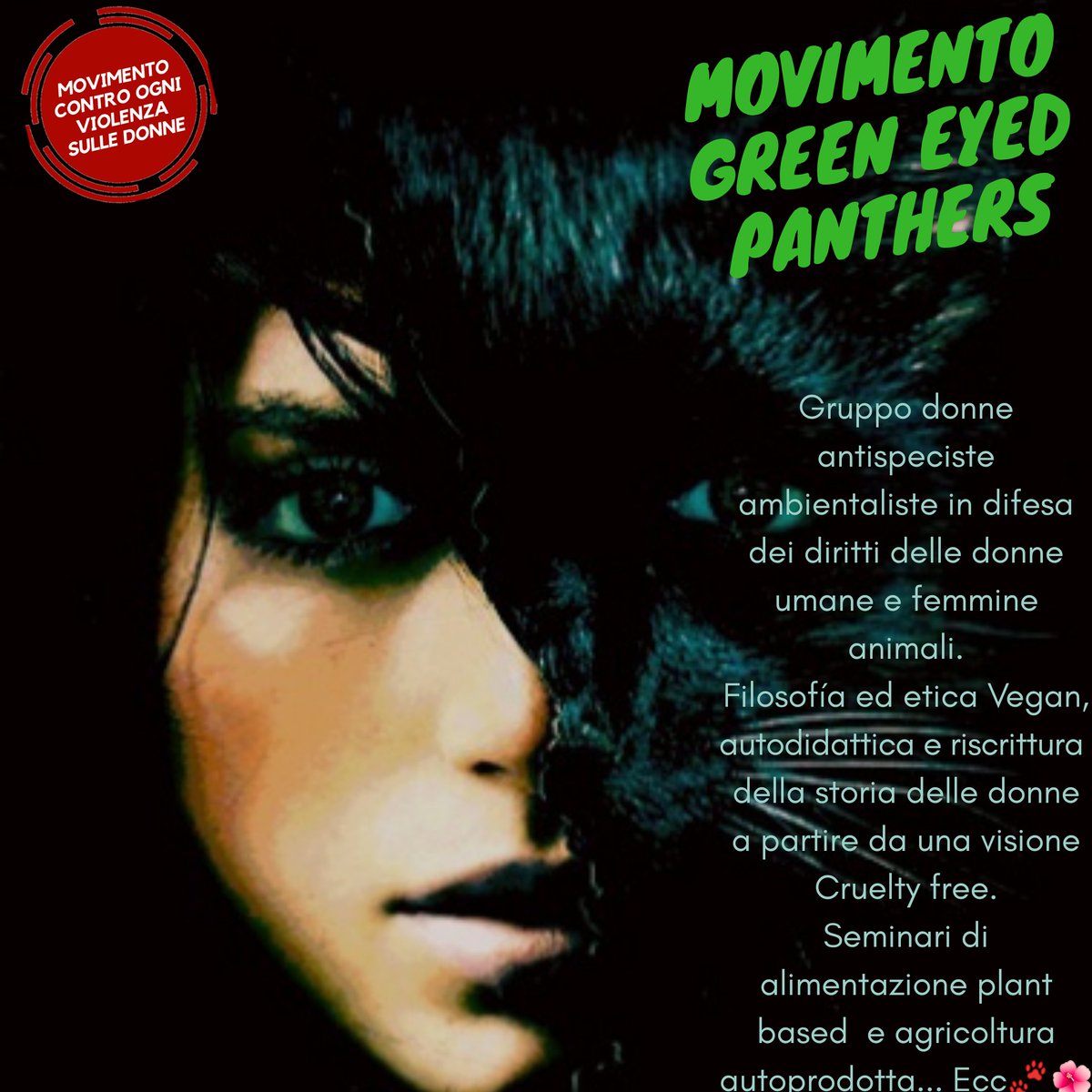 ControOgni's tweet photo. https://t.co/J9R5onTvWd