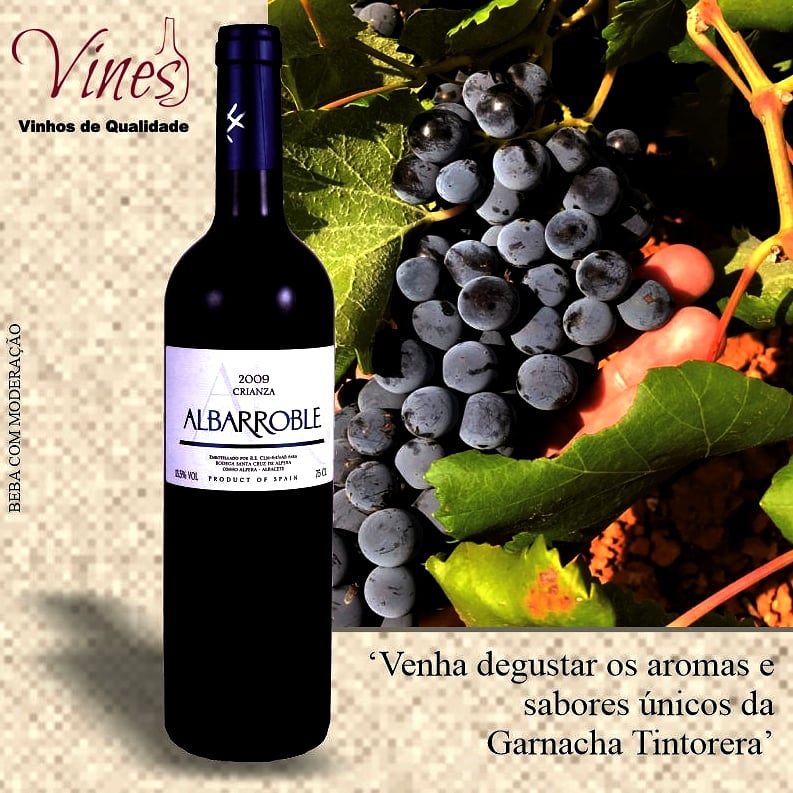 vines.com.br/vinhos1/vinhos…