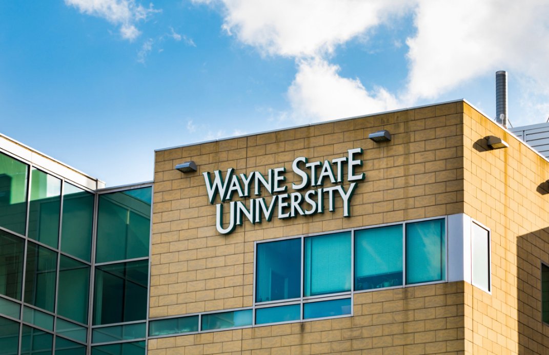 waynestatealum's tweet photo. Whatβs your favorite part about being a part of the WSU family?π°
#ThenNowAlways #AlwaysWayneState https://t.co/N7pxDbmZvj