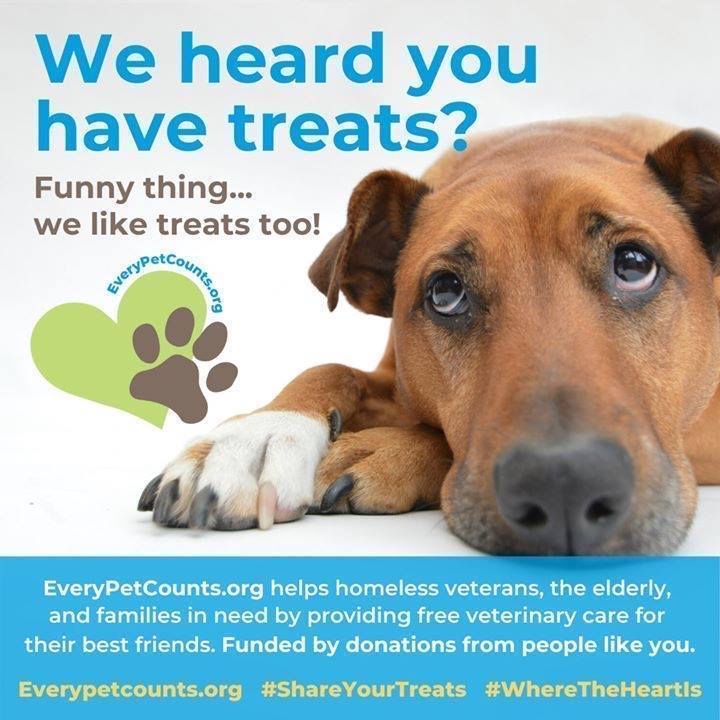 EveryPetCounts's tweet image. Our four legged friends matter as well as our vets! Help us help reach our goal ! learn more about us bit.ly/2Ow48In

#treats#Gotsnacks#pets4vets