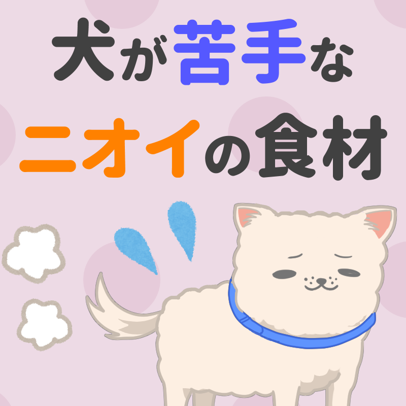 ペットフード販売士 ドッグトレーナー ゆき 犬が苦手なニオイの食材 柑橘類 皮に含まれる柑橘精油が鼻に刺激を与えて不快に感じる お酢 犬は酸味を 腐った食べ物 腐敗臭 と認識する 香辛料 匂い 味のどちらも刺激が強く 肝機能障害を