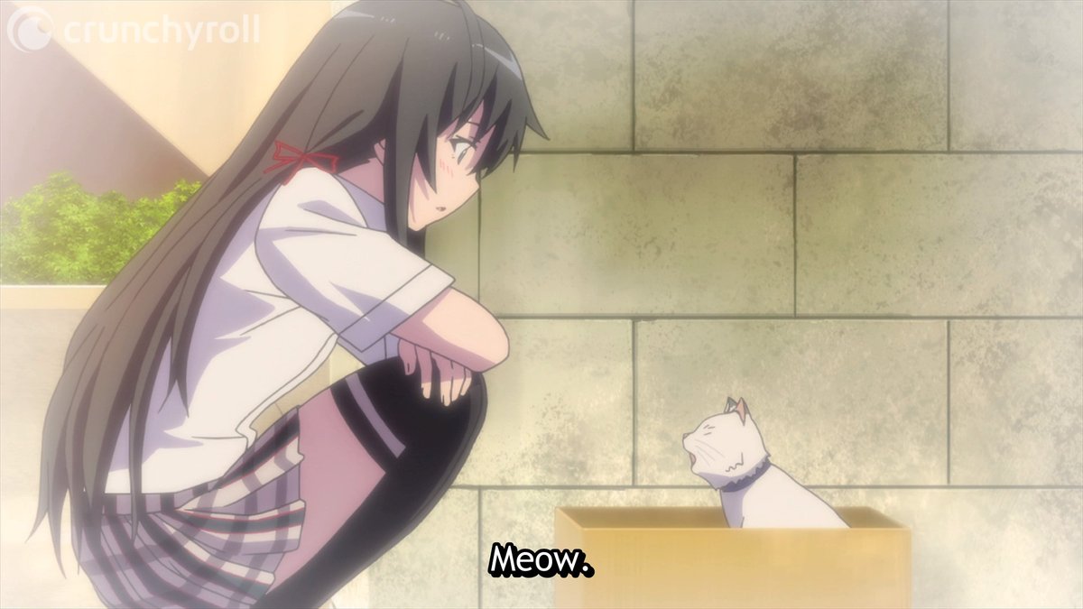 Cat Girl Yukinon 😸 (via My Teen Romantic Comedy SNAFU)
