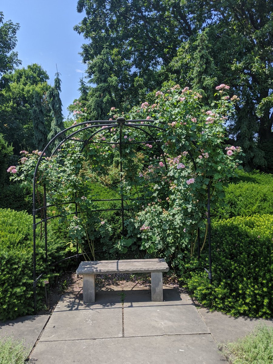 MissUnderhill's tweet photo. Ernie took me to the botanical gardens and my inner green witch 🌺🧙🏼‍♀️ squeed the whole time. They had an entire section of the garden dedicated to herbs. I was sticking my face in so many plants. https://t.co/ry7bIVkvEj