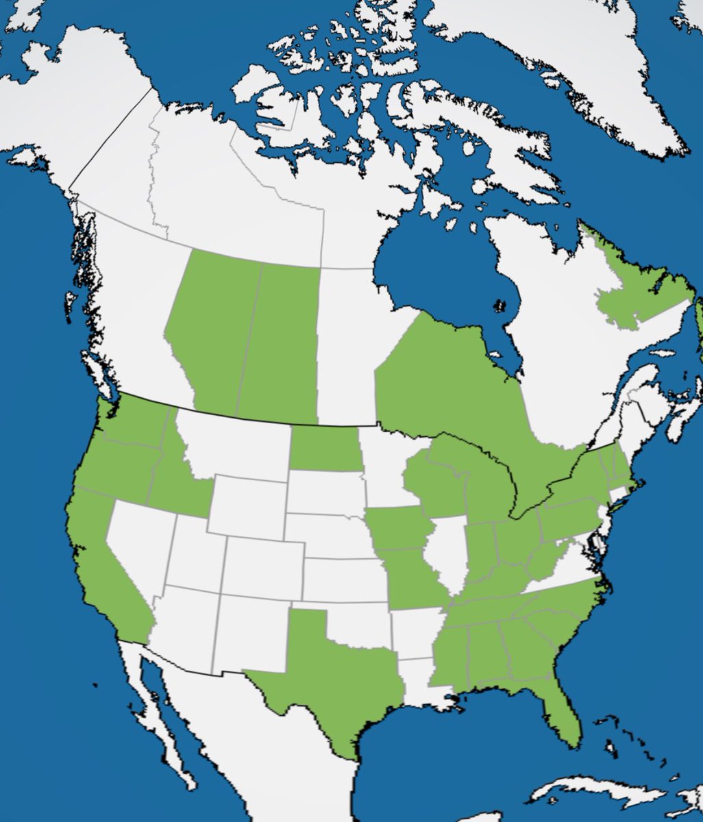 PascoSheriff's tweet photo. First #9PMRoutine map of the night! 

RT if your location is green! https://t.co/WEynXcwYGn