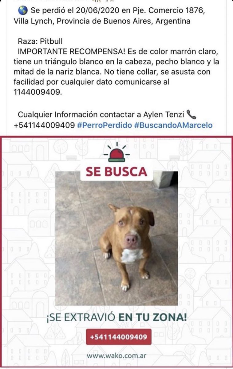 SalgueiroTincho's tweet image. CON SOLO DARLE RT AYUDAN UN MONTÓN 🙏🏼🙏🏼🙏🏼