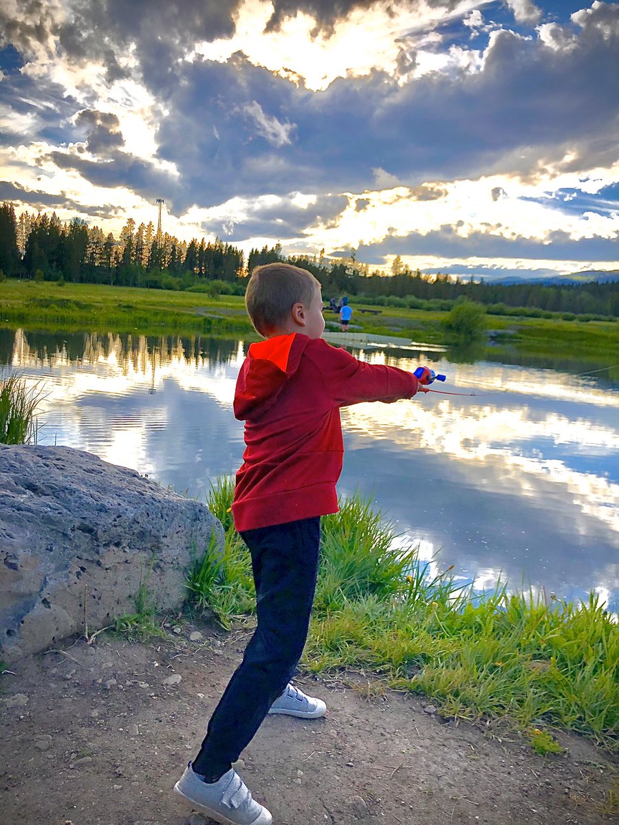 shaycarl ⛷ tweet media