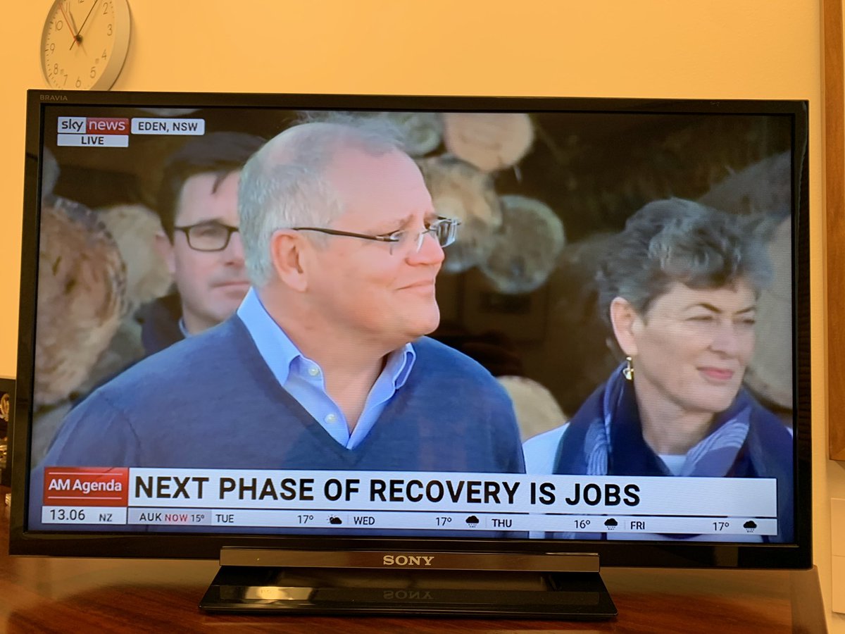 MurrayWatt's tweet image. Terrific that the Prime Minister has discovered bushfire-hit regions need economic support. It only took 175 days and a by-election.