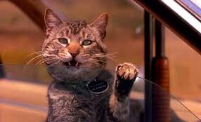 TheMcDave's tweet photo. @GodzillaLets Nobody messes with Clovis!
#GetTheBadGuy #Sleepwalkers https://t.co/VkbaJbp7Rs