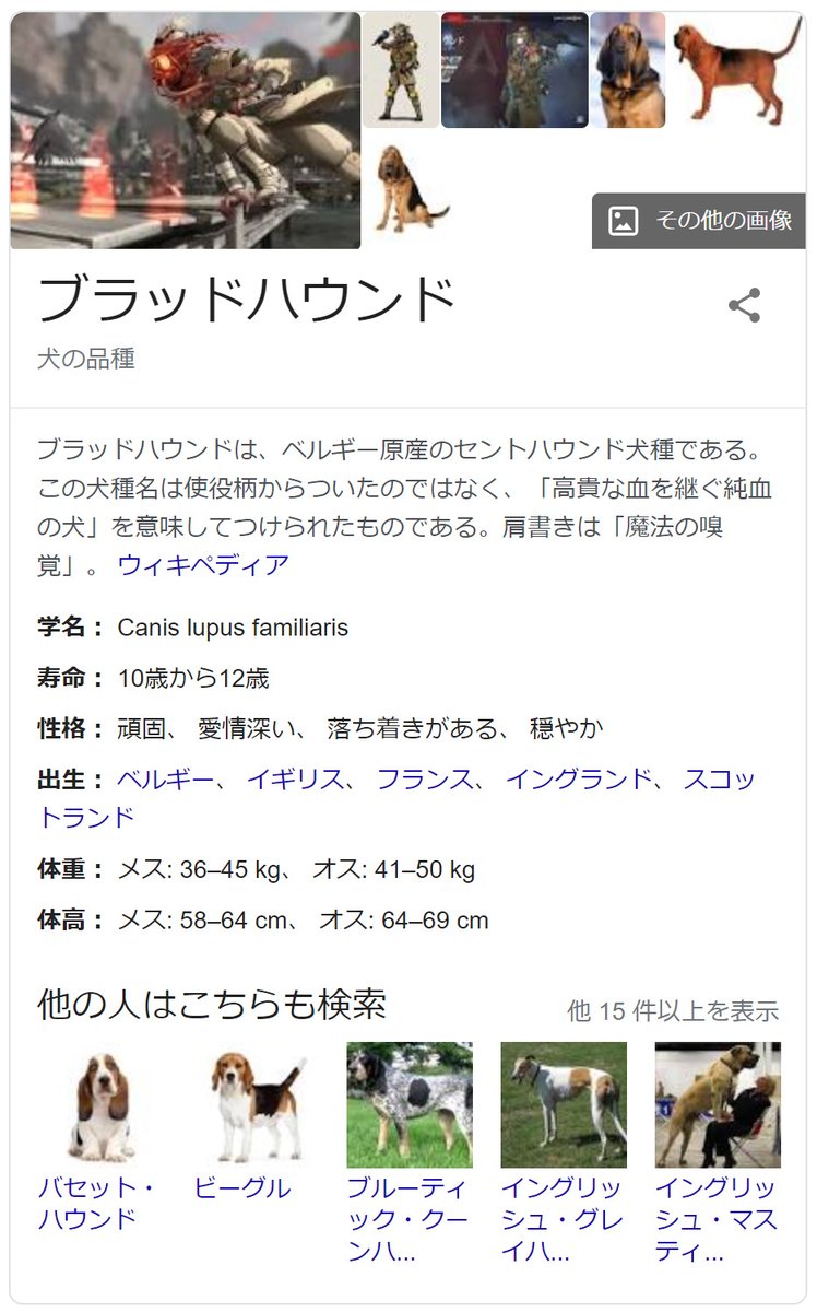 御榊 Misakaki Rj Twitter