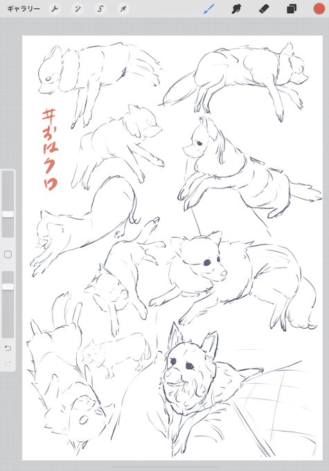 #おはクロ
初めて描いた割には上手くいった
チワワには見えないけど 