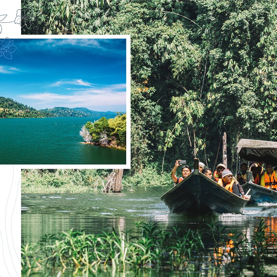 MAS's tweet photo. Did you know that Perak’s Belum-Temenggor rainforest is the world’s oldest rainforest – even more ancient than the Amazon? Find out all you need to know about this incredible slice of nature on this Going Places guide: https://t.co/JDS4QrvQ3S https://t.co/lhCWREyiZp