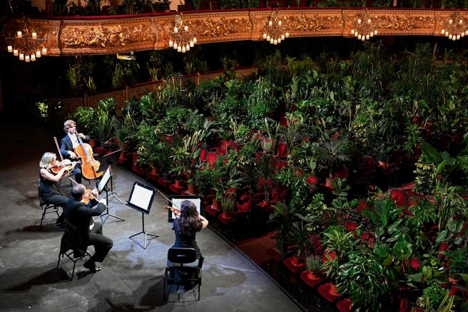 SinfoniaVirtual's tweet photo. No es una broma.

El prestigioso teatro de ópera español, @Liceu_cat, en Barcelona, ha dedicado un concierto (con todos los rituales normales) a una serie de plantas en sus macetas. 

#DendrofiliaEnLaÓpera https://t.co/ThObDkOw3M