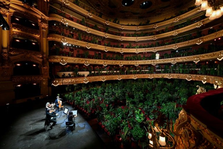 SinfoniaVirtual's tweet photo. No es una broma.

El prestigioso teatro de ópera español, @Liceu_cat, en Barcelona, ha dedicado un concierto (con todos los rituales normales) a una serie de plantas en sus macetas. 

#DendrofiliaEnLaÓpera https://t.co/ThObDkOw3M