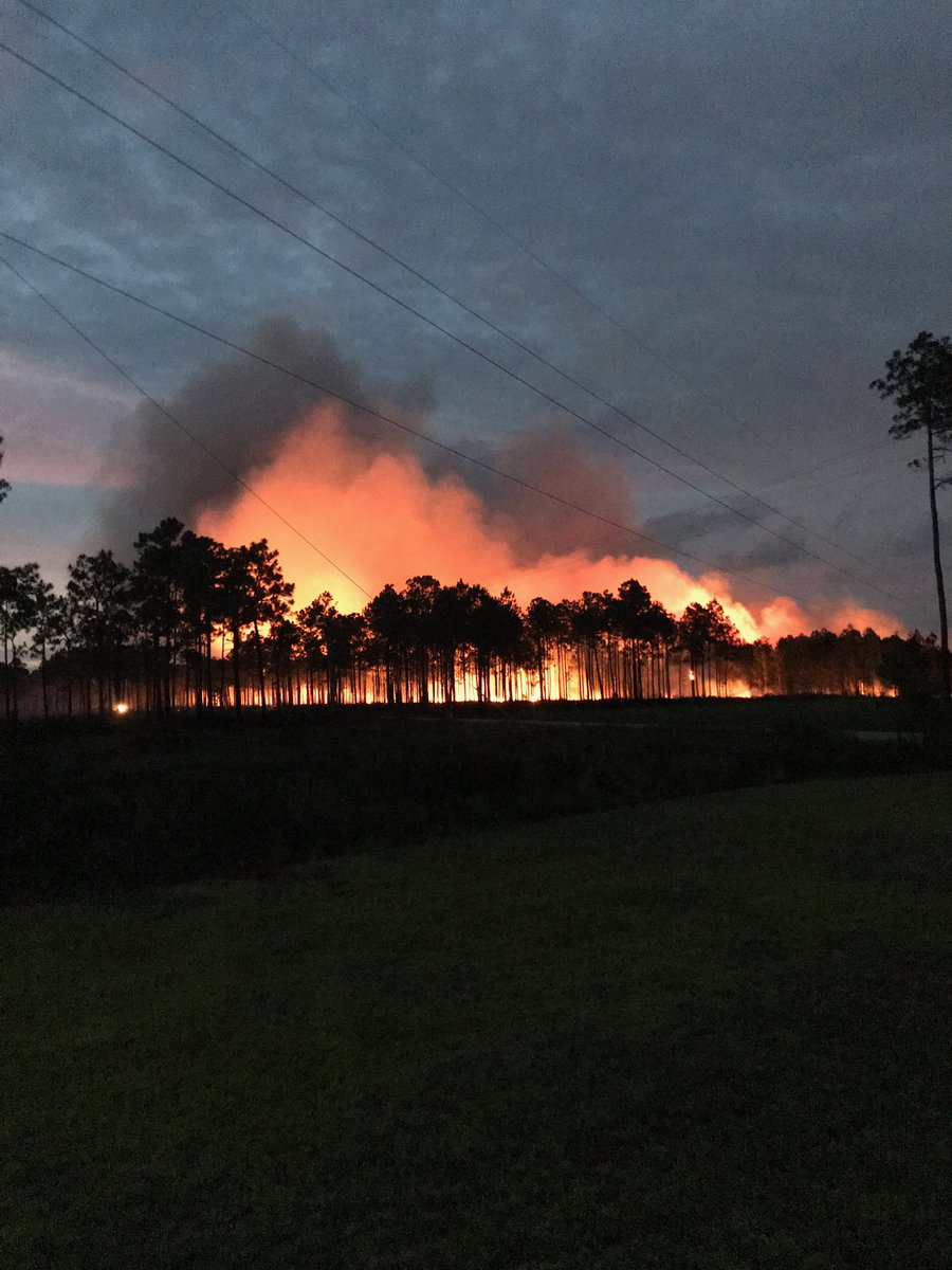 USFWSFire's tweet photo. #USFWS #GrandBayNWR has completed another #prescribedfire. #MSfire #GoodFire #rxfire @NWSNewOrleans @MSForestryComm https://t.co/JOzEJIPUqQ