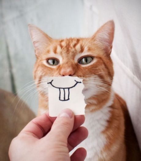 AddingFaces's tweet photo. https://t.co/bGvZmZ2pUn