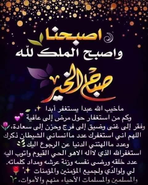 Ahmed Ewies (@ewiesahmed) on Twitter photo 