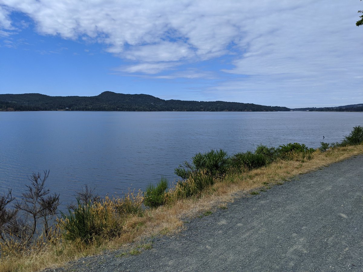 E_PaulZehr's tweet photo. When you accidentally go on a 100 km roundtrip bike ride &amp; the bridge to your destination is closed when you get there...😂

It's all about the journey, anyway, &amp; the Galloping Goose trail was stellar...👍

#wallyworld #gallopinggoose
#checkthemap https://t.co/bgK5omHTvs