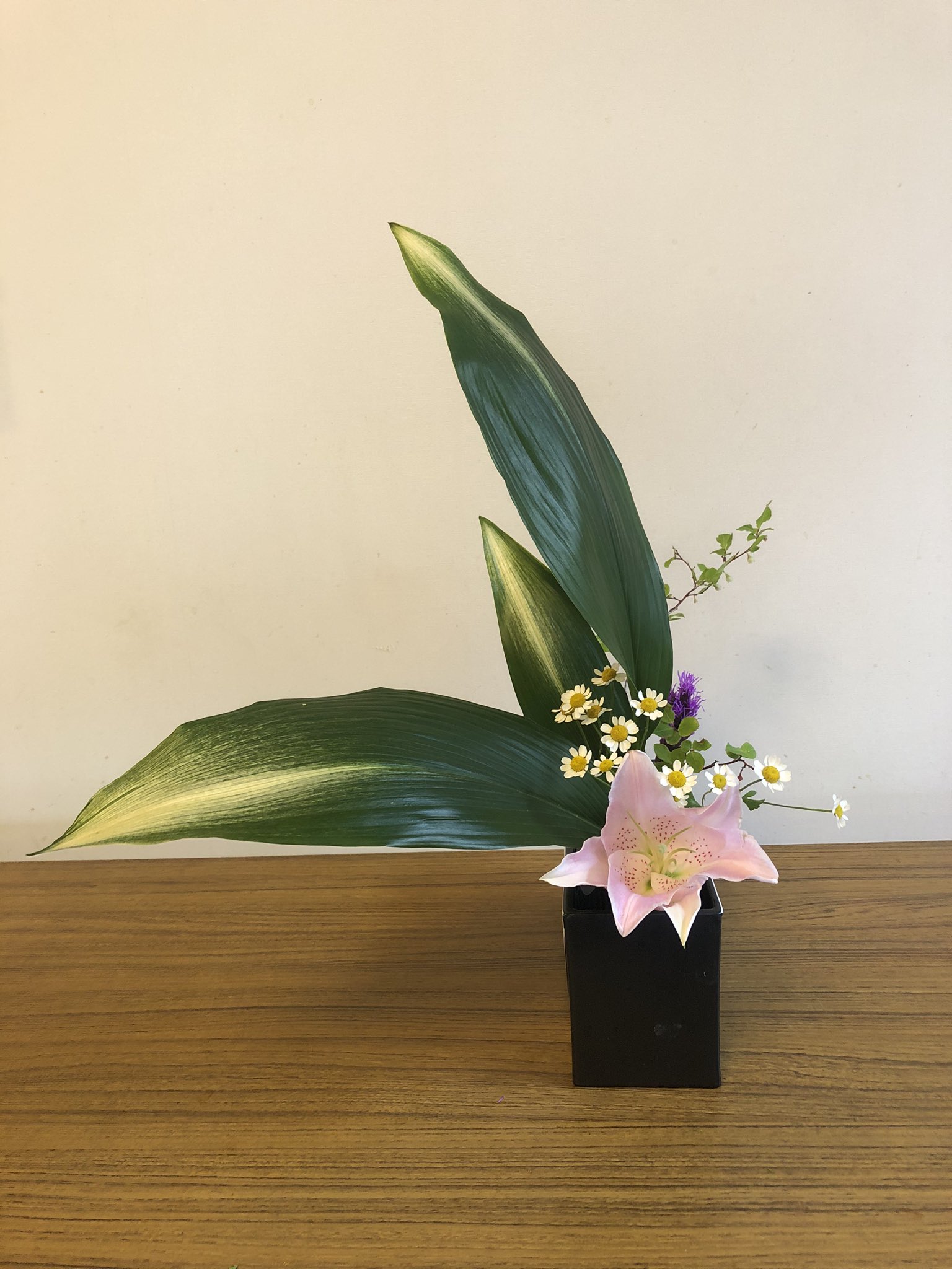 サイカン 今週の生け花 タイトル コォー 今週の生け花 ユリ アサヒハラン マトリカリア 酢の木 リアトリス 今週の生け花 自由花 花 Flower 花のある暮らし 生け花男子 生け花芸人 Ikebana 華道 華道部 池坊 Ikenobo Japan 文化 和 サイカン 今週の生け花 タイトル コォー 今週の生け花 ユリ アサヒハラン マトリカリア 酢の木 リアトリス 今週の生け花 自由花 花 Flower 花のある暮らし 生け花男子 生け花芸人 Ikebana 華道 華道部 池坊 Ikenobo Japan 文化 和