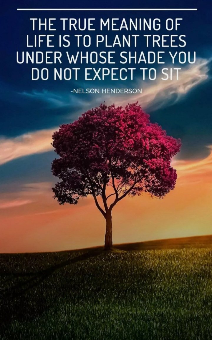 kanodiaankit12's tweet image. Raise your kids having this thought in your mind.

Good Morning!🙂