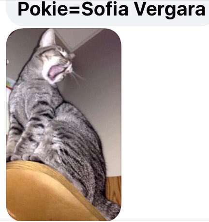 LisaMEverson's tweet photo. @EversonShawn @hitsfm @GlobalPetsNL My Entries were https://t.co/sLIAuCLdY5
