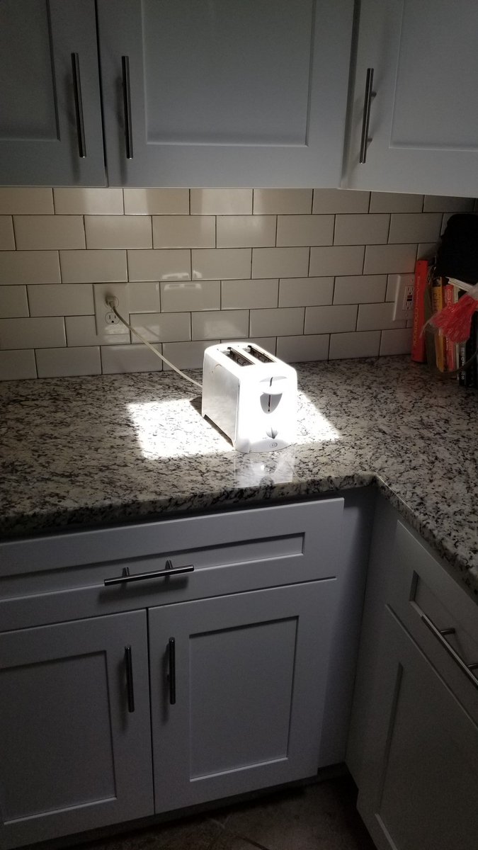 jackelxing's tweet photo. @hitRECordJoe Toaster thinks it is a cat https://t.co/5lP4PhPTOr