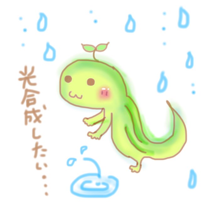 梅雨明けのtwitterイラスト検索結果 古い順