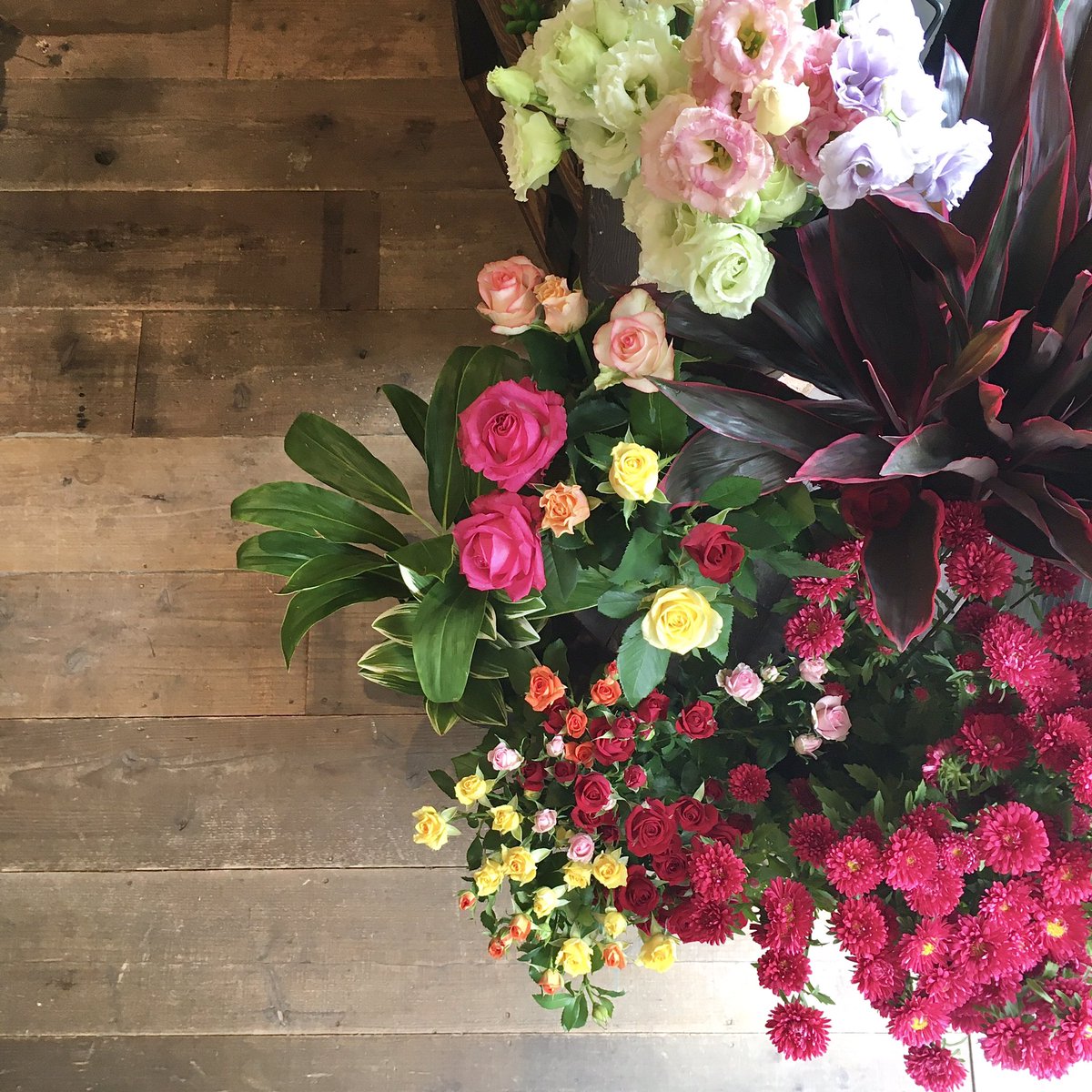 花 香 楽 本日より 冷製パスタ登場です 暑い日でも食べやすいパスタです ブラックカレー ラペサンド 鉢植えティラミス チーズケーキは引き続きご用意ございます ぜひ全メニュー試してみてくださいね 花香楽 川越 川越花屋 ドライフラワー