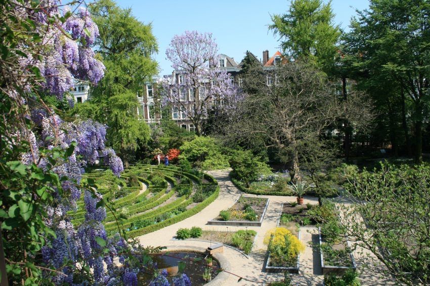indykeyhotels's tweet photo. Hortus Botanicus: Amsterdam’s Garden Oasis https://t.co/hybNy4Atdj https://t.co/XtCpMtWoKb