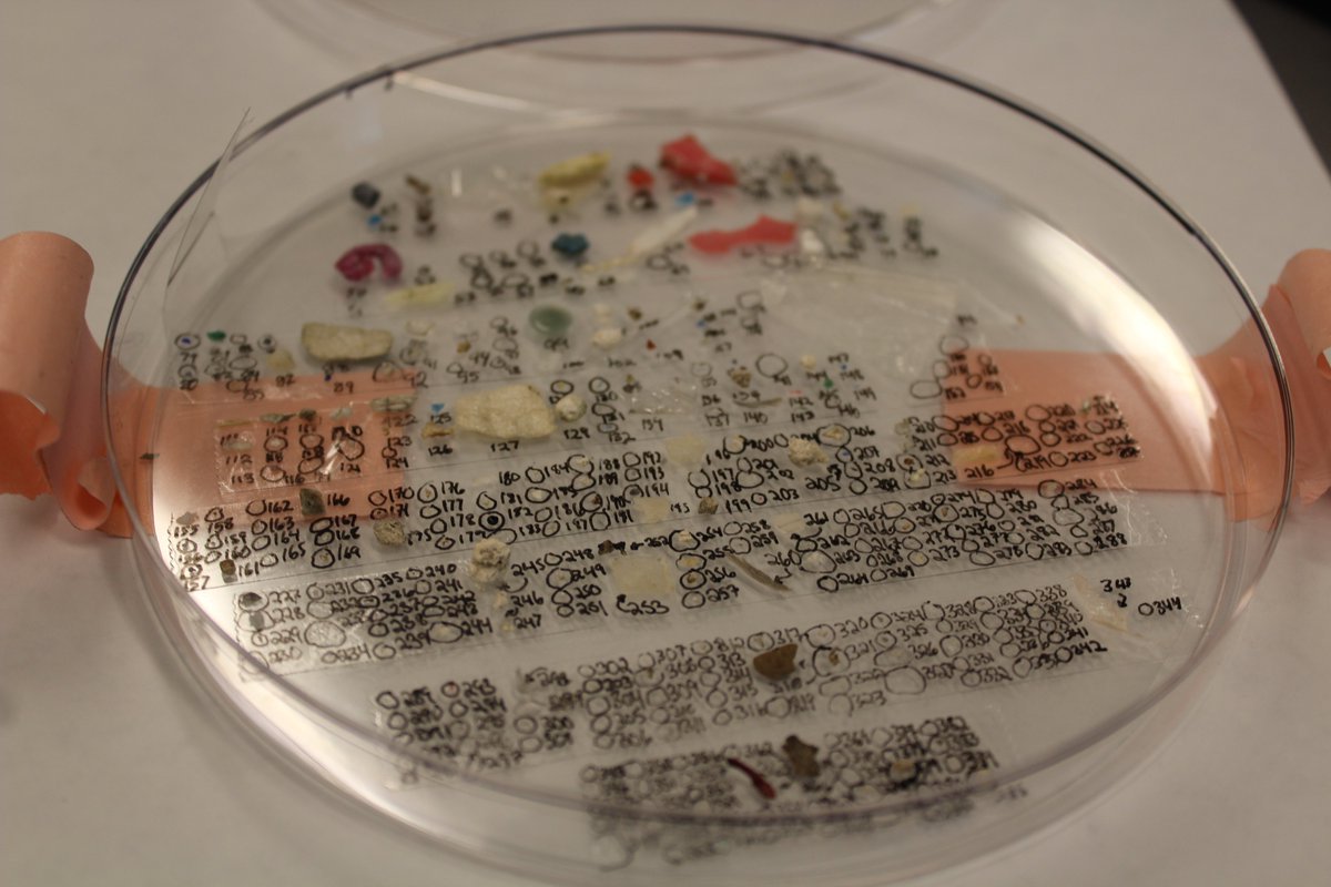 Calling all #microplastics researchers! See below! We are looking for datasets with all microplastics chemically ID'd and all data available in the Supp Mat. We promise it will be used to answer useful questions 🙏