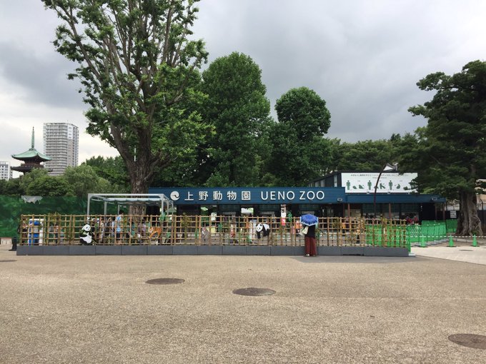 大混雑 上野動物園 予約制で営業再開 整理券取れた人で長蛇の待機列 サイト繋がらなかった 行列すぎて密 など まとめダネ