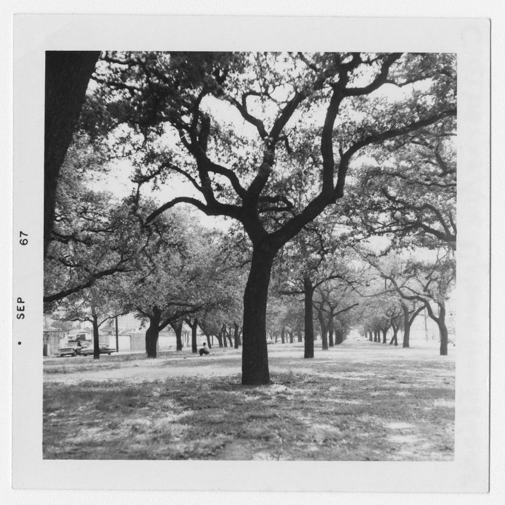 The Claiborne Avenue Overpass was built in 1968, paving over the heart of Black life in downtown New Orleans.  http://antigravitymagazine.com/feature/right-of-way-navigating-the-past-present-and-future-of-the-claiborne-corridor/  https://twitter.com/jameskarst/status/1274329043186450432