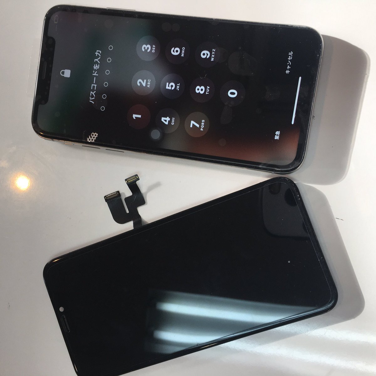 MobileSHOPDRAGO's tweet photo. 当店では価格、品質に
絶対の自信があります😊
.
安心して修理をして頂きたいので
お店の利益よりも材料品質にこだわり❣️
.
他店様でお見積もり後に最後にご連絡下さい♫

#和歌山で1番安いiPhone修理
＃iPhone画面割れ修理
#iPhoneバッテリー交換
#和歌山駅うら徒歩３分

TEL073-488-4449 https://t.co/MGwI5sT2kw