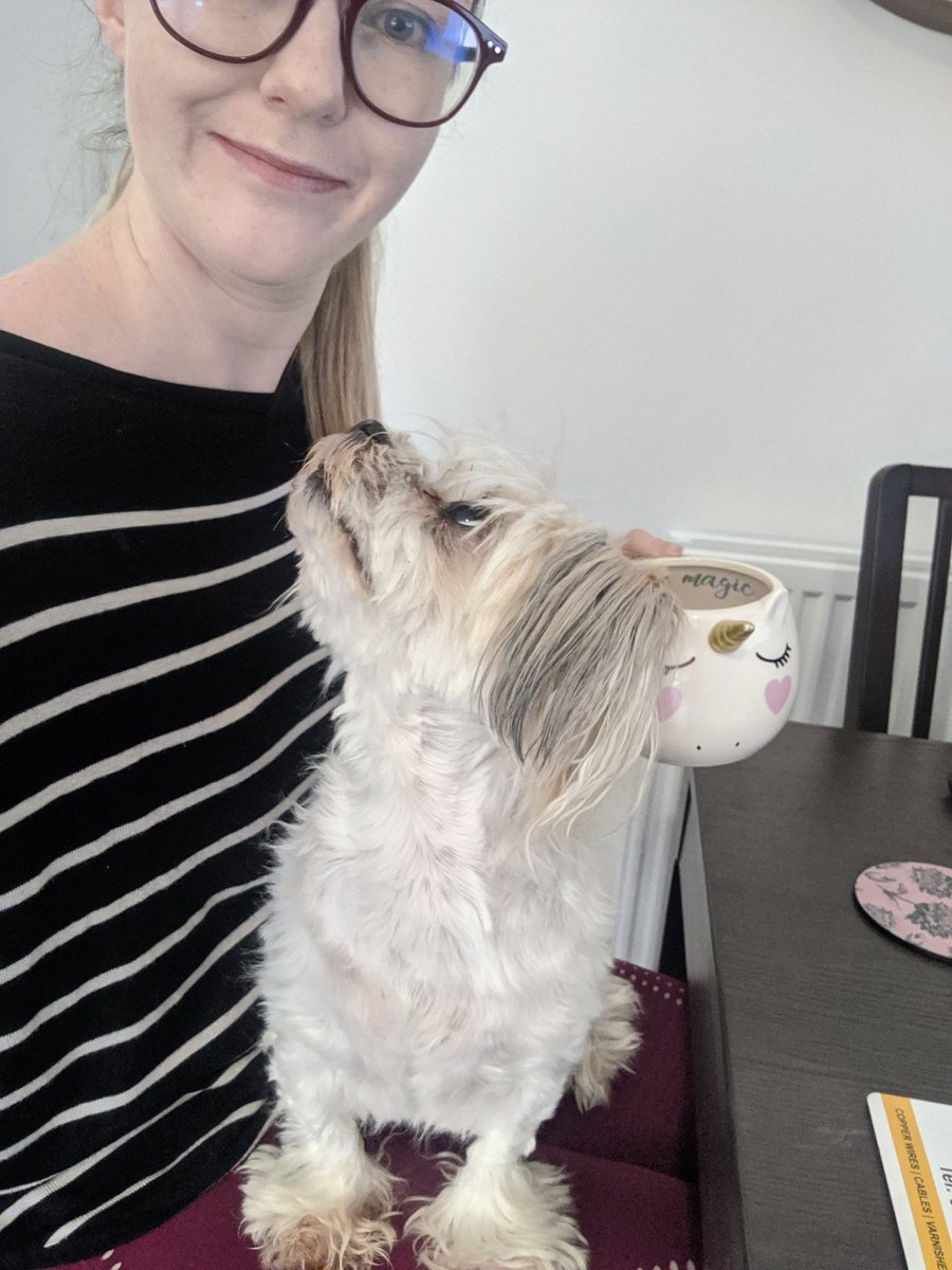 Ellie McIntosh tweet media