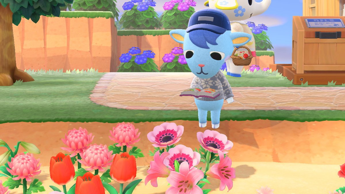 Hannxgo's tweet image. #AnimalCrossing #ACNH #NintendoSwitch