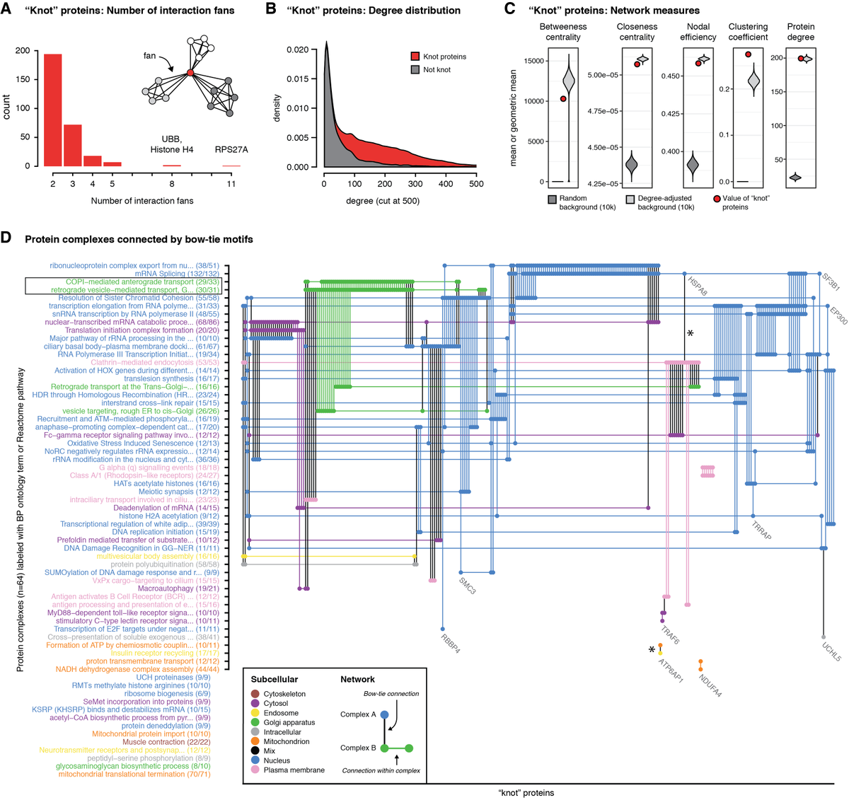 KristofferNiss's tweet photo. Further analysis showed that the central protein of bow-tie motifs (called "knots") had unique network characteristics and were ubiquitously found between protein complexes. https://t.co/3sgPwDV2Wf