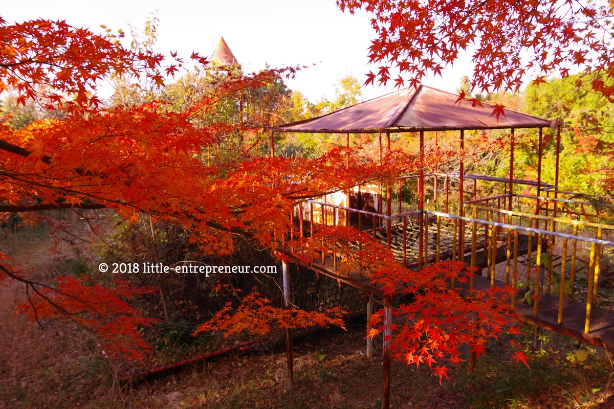 litpre_libelife's tweet photo. 打ち捨てられた遊具に紅葉が映える
このコントラストも一つの廃墟美
#廃墟 #ruins #abandoned https://t.co/PKWfF5lJe5