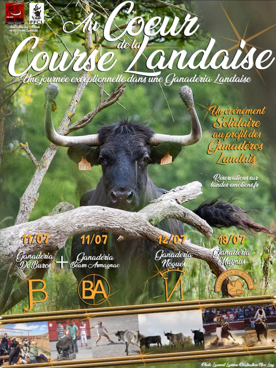 Plan de relance pour notre chère Course Landaise... 🤞🏻🍀 <a href="/SO_Landes/">Sud Ouest Landes</a> @Bleu_Gascogne <a href="/F3Aquitaine/">France 3 Aquitaine</a> 
By <a href="/Nico_Lmg/">Nico Lamagnère</a>