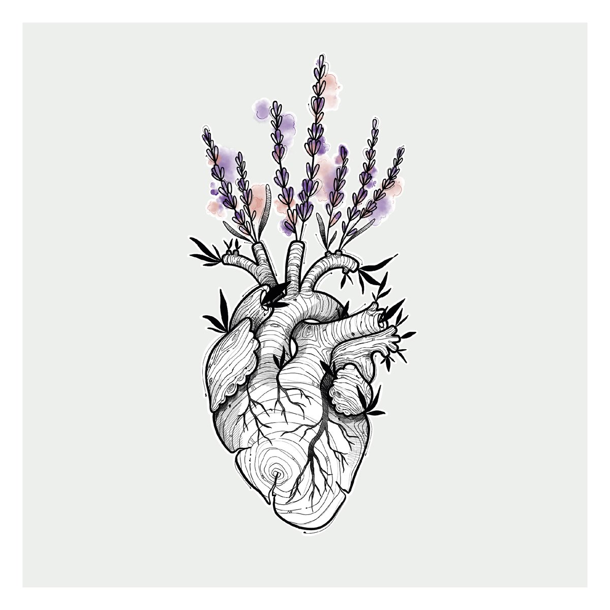 WhyNotTattooBCN's tweet photo. Bon dia!! Diseño disponible de @kmin_tattoo ! Interesadxs no dudéis en escribirnos!!.
.
.
.
.
#lavender #lavanda #flores #flowertattoo #hearttattoo #woodheart #anatomicheart #watercolor #blackwork #lavendertattoo #design #barcelonatattoo #tttcollective #whynottattoo https://t.co/n9ZVVCanMI