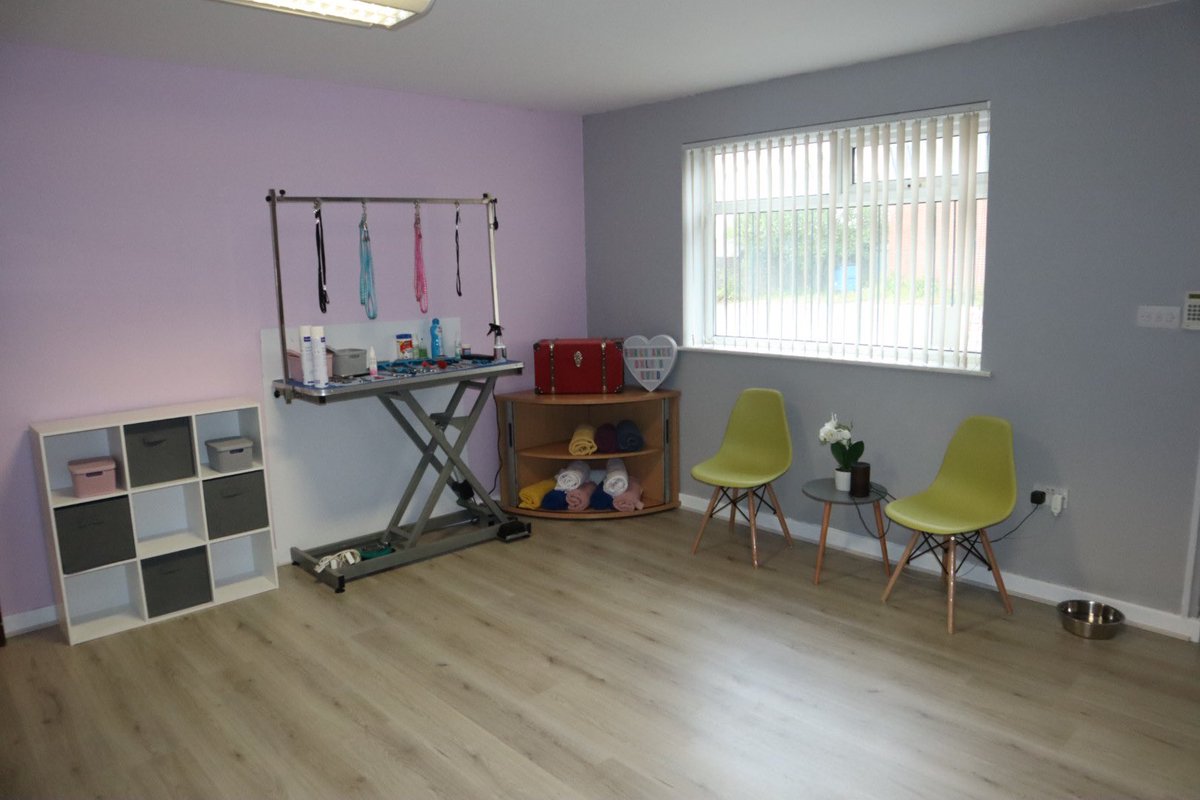 Staynplay tweet media