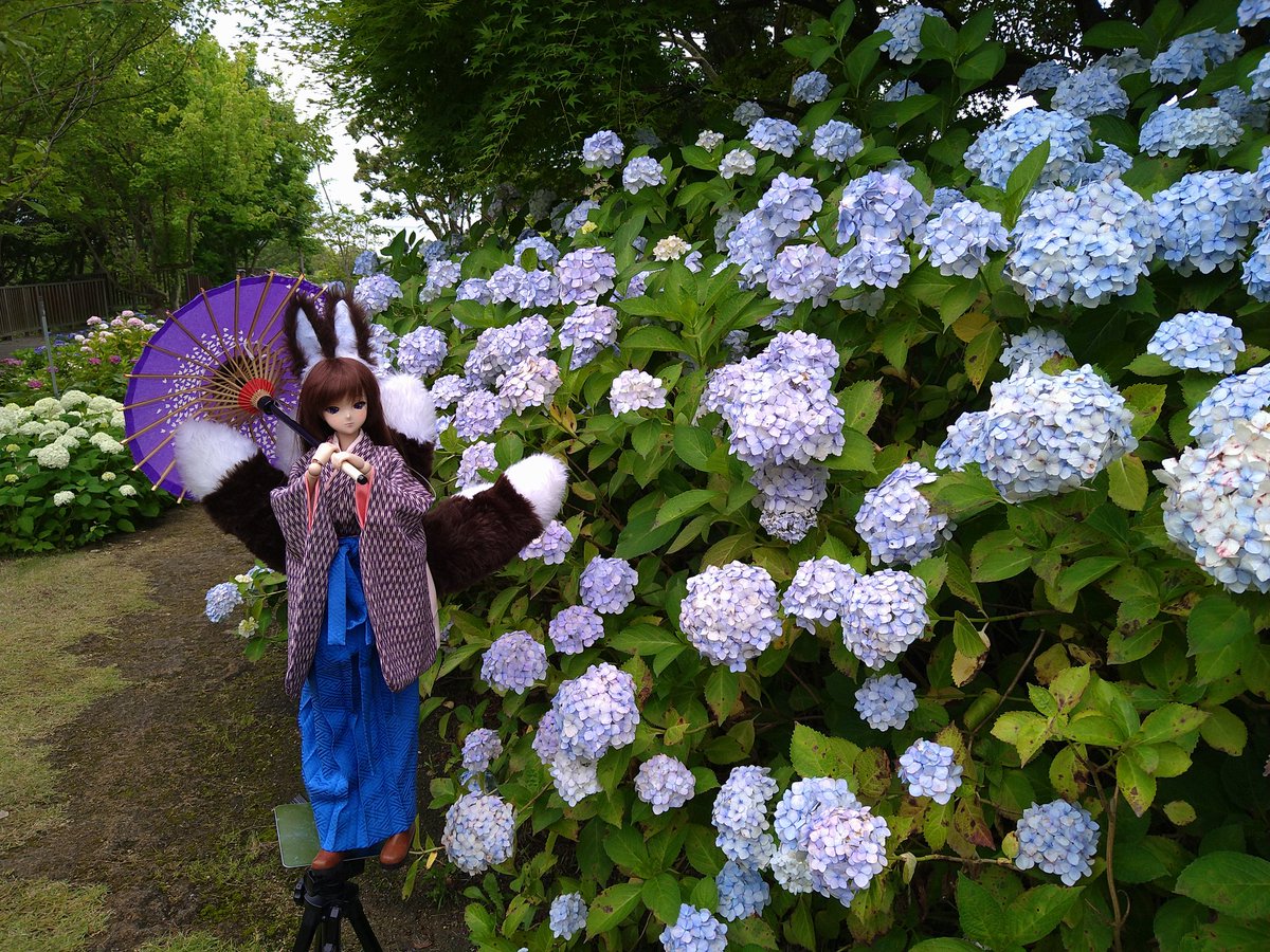 Miko_Teruya's tweet photo. #見た人もドールを無言であげる
#DOF09 https://t.co/J8pa1DD8Pb