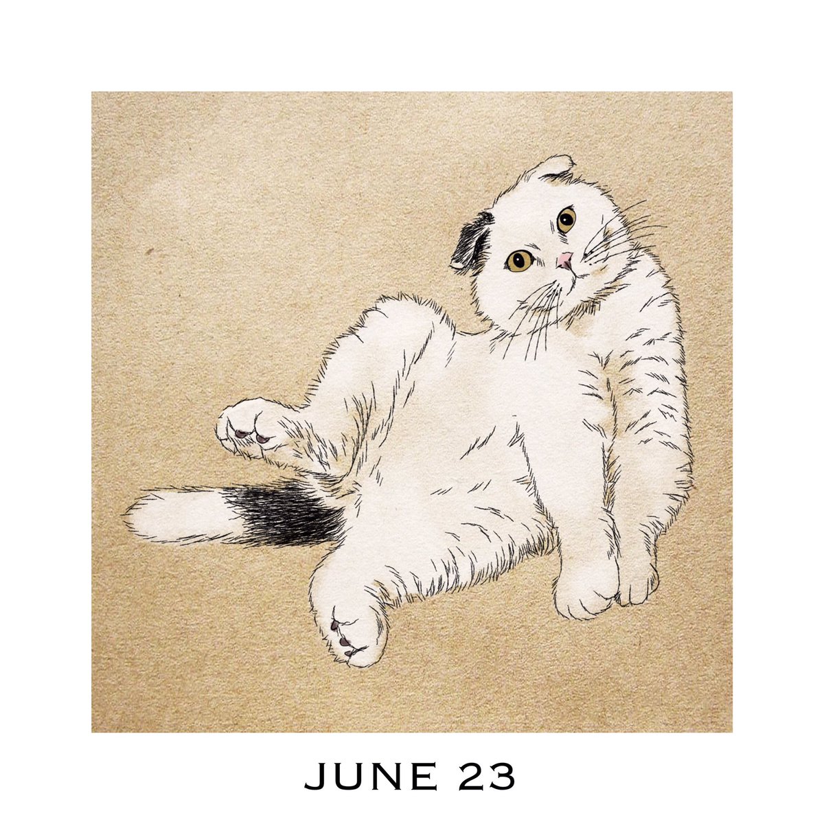 猫好きイラストレーター 365cat Art Auf Twitter 6月23日 猫カレンダー 365catart 次の猫カレンダー何にしようかにゃ 1日1絵 猫似顔絵 猫の似顔絵 猫の絵 猫イラスト 猫のイラスト 猫好きさんと繋がりたい 猫イラストレーター おしゃれ猫イラスト 猫の