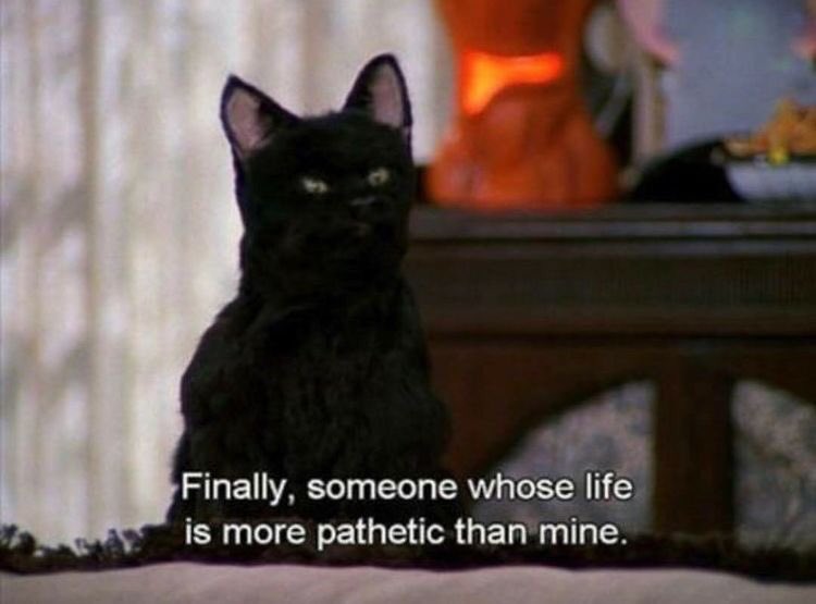 The best of Salem: a thread