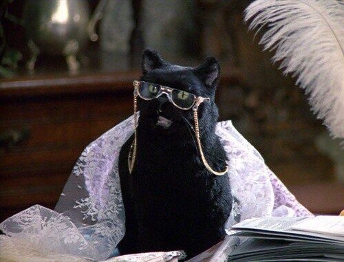 The best of Salem: a thread