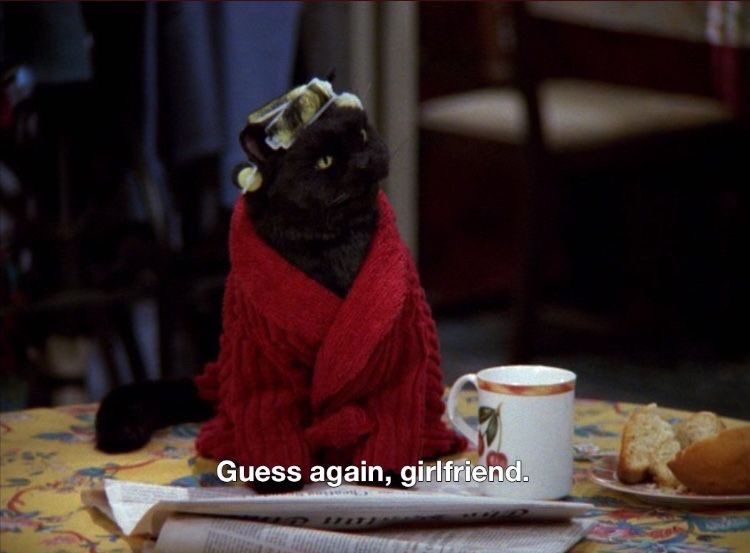 The best of Salem: a thread