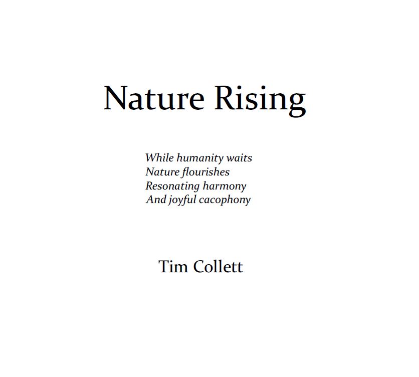 Tim & Véronique tweet media