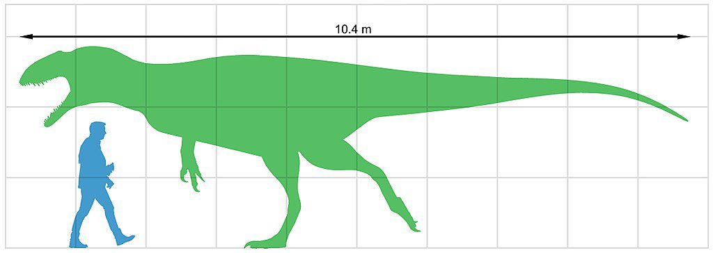 Siats represents one of the largest known theropods from North America with an estimated length of 39 feet and weighing roughly 4 tons. Silhouette by DaCaTaraptor and diagram by Paleocolour